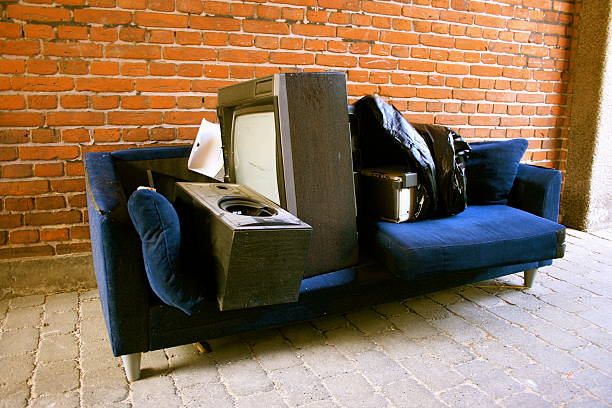 Best Professional Junk Removal  in Carver, MN
